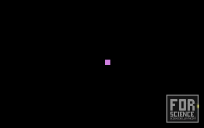fireworkite