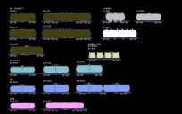 Tank Cars
