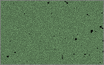 Green Labyrinth