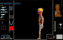 BODY V5 but no eating restrictions