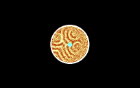 Hydrogen Star