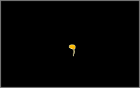 brain with spin
