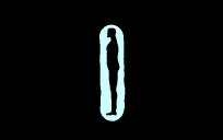 body mold