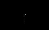 needle