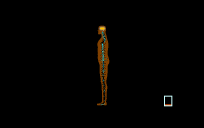 dummy v5