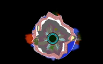 Planet