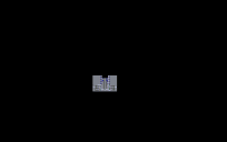 microscheme/microchip :D