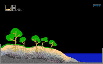 Shore Line Landscape