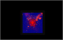 Tempature scan of Azure Lotus