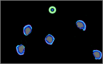 OS3: Creation of Mixtures