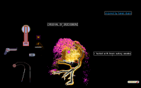 Alfonzo the not alive anymore