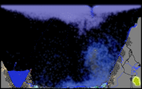 fledged sapphire of the forest