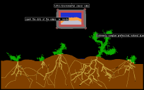 Cool yellow bright cube that emits WATR
