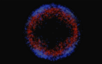 Star formation