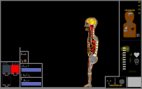 BODY V5 Medical