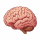 BinaryBrainiac