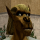 Borrie
