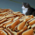 HotDogCat