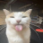 Moggyima