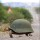 TheHopper343