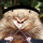 WombatRuckus