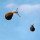 airsnail