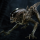 celestialnull
