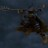 christchurchwarrior