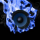 danbull3435