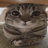 hn