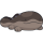 qualitynunu