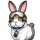 rabbit4200