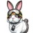 rabbit4200