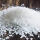 salt_of_smart