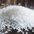 salt_of_smart