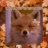 thatOneSillyLilFox